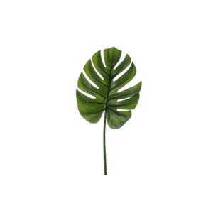 Feuille tropicale Montsera - H73cm