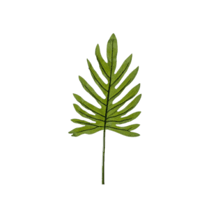 Feuille tropicale Philodendron - H100cm