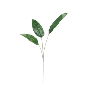 Feuille tropicale Strelitzia - H135cm