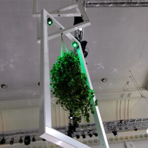 Hanging plant frames